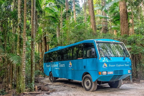 All-Inclusive Fraser Island Day Tour - Sydney Tourism 0