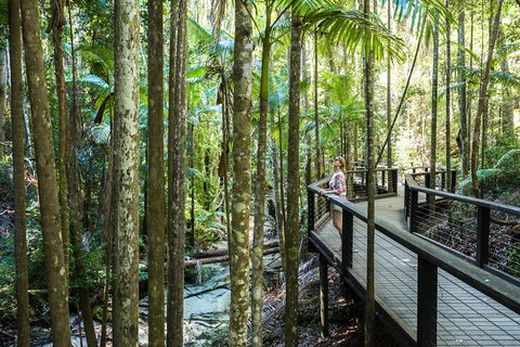 All-Inclusive Fraser Island Day Tour - Sydney Tourism 7