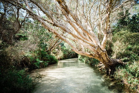 All-Inclusive Fraser Island Day Tour - Sydney Tourism 5