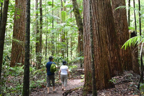 All-Inclusive Fraser Island Day Tour - Sydney Tourism 6