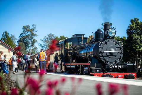 Mary Valley Rattler - Sydney Tourism 5