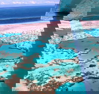 8-Day Cairns Tour Great Barrier Reef Kuranda Daintree Rainforest - Sydney Tourism