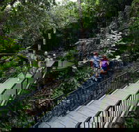 4-Day Cairns with Great Barrier Reef and Daintree Rainforest - Sydney Tourism