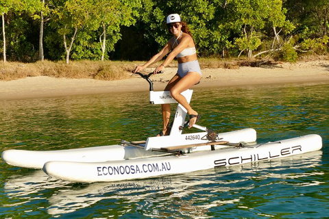 Self Guided Water Bike Tour Of The Noosa River - Sydney Tourism 1