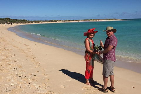 Elope In Paradise - Weddings At Mission Beach - Sydney Tourism 6