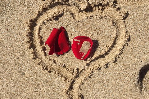 Elope In Paradise - Weddings At Mission Beach - Sydney Tourism 3