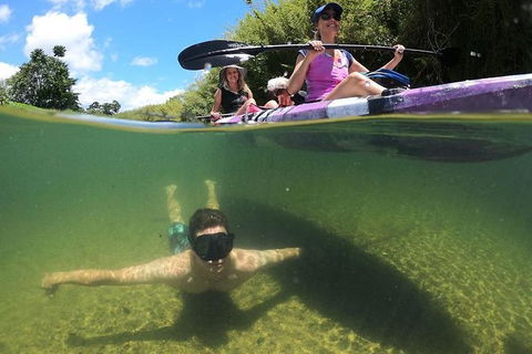Babinda Half Day Or Full Day Self-Guided Kayaking Experience - Sydney Tourism 0
