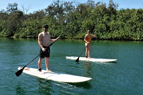 Paddle Board Hire In Surfers Paradise - Sydney Tourism 2