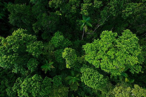 Cairns & Port Douglas All-Inclusive 7 Days Touring Package - Sydney Tourism 3