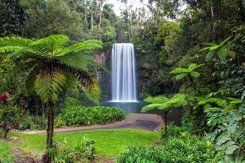 Cairns & Port Douglas All-Inclusive 7 Days Touring Package - Sydney Tourism 5