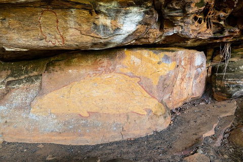 Half Day Aboriginal Rock Art Experience In Queensland - Sydney Tourism 3