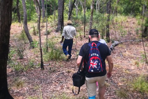 Half Day Aboriginal Rock Art Experience In Queensland - Sydney Tourism 5