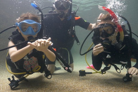 Scuba Kids- Padi Bubblemaker Course - Sydney Tourism 4