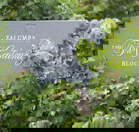 Yalumba Nursery  Grenache Discovery Tour  Platter Lunch - Sydney Tourism