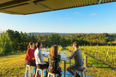 Panorama Experience - Sydney Tourism 1