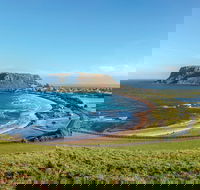 Cruise Ship Special from Burnie to Stanley and The Nut - Sydney Tourism