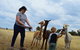 Alpaca Farm Tours With Toffeemont - thumb 4