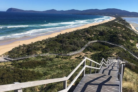 4-Day Fabulous Tasmania Tour: Wineglass Bay, Port Arthur, Devils & Bruny Island - Sydney Tourism 3