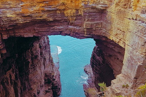 4-Day Fabulous Tasmania Tour: Wineglass Bay, Port Arthur, Devils & Bruny Island - Sydney Tourism 6