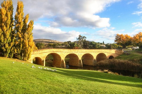 4-Day Fabulous Tasmania Tour: Wineglass Bay, Port Arthur, Devils & Bruny Island - Sydney Tourism 7