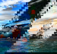 2 hour Snorkel with the Seals - Sydney Tourism