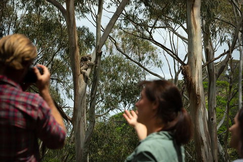 Indigenous Culture And Nature Tour - Sydney Tourism 2