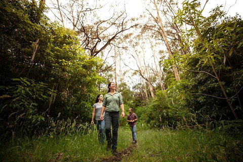 Indigenous Culture And Nature Tour - Sydney Tourism 6