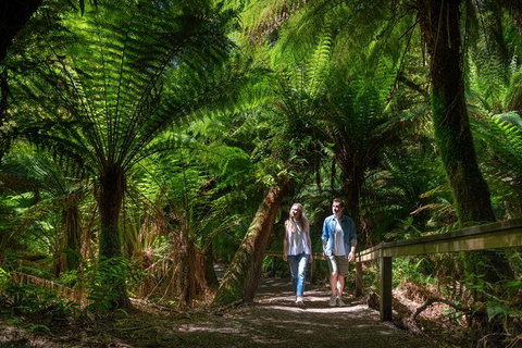 The Great Ocean Road 1 Day Private Sunset Tour - Sydney Tourism 1