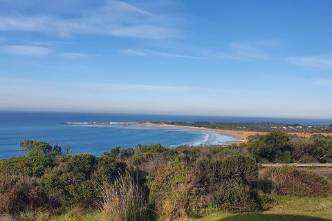 Private Great Ocean Road And Chocolaterie Tour With Tasting - Sydney Tourism 5