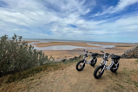 E-Bike Hire Super Cruzer In Phillip Island - Sydney Tourism 3