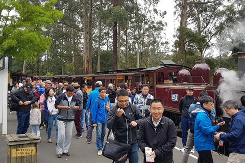 Day Tour Of Yarra Valley Puffing Billy And Rayners Orchard - Sydney Tourism 3