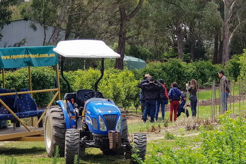 Day Tour Of Yarra Valley Puffing Billy And Rayners Orchard - Sydney Tourism 10