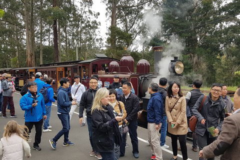 Day Tour Of Yarra Valley Puffing Billy And Rayners Orchard - Sydney Tourism 18