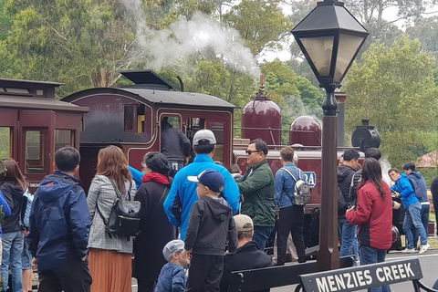 Day Tour Of Yarra Valley Puffing Billy And Rayners Orchard - Sydney Tourism 40