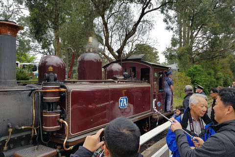 Day Tour Of Yarra Valley Puffing Billy And Rayners Orchard - Sydney Tourism 28