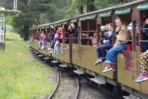 Day Tour Of Yarra Valley Puffing Billy And Rayners Orchard - Sydney Tourism 13