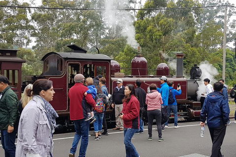 Day Tour Of Yarra Valley Puffing Billy And Rayners Orchard - Sydney Tourism 4