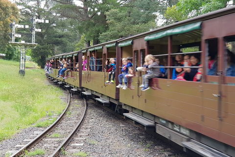 Day Tour Of Yarra Valley Puffing Billy And Rayners Orchard - Sydney Tourism 24