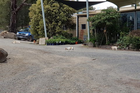 Day Tour Of Yarra Valley Puffing Billy And Rayners Orchard - Sydney Tourism 26