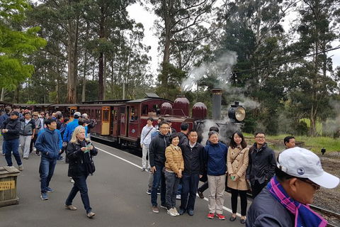 Day Tour Of Yarra Valley Puffing Billy And Rayners Orchard - Sydney Tourism 9