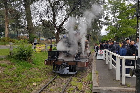 Day Tour Of Yarra Valley Puffing Billy And Rayners Orchard - Sydney Tourism 43