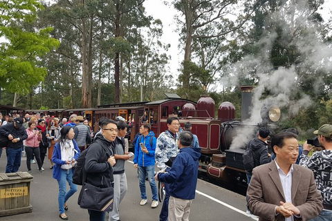 Day Tour Of Yarra Valley Puffing Billy And Rayners Orchard - Sydney Tourism 12