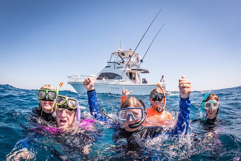 Life On Ningaloo Swimming Tour In Exmouth - Sydney Tourism 4