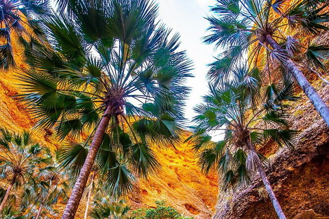 Bungles Day Trek Extended (with Echidna Chasm) - Sydney Tourism 1