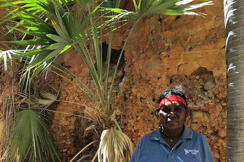 Bungles Day Trek Extended (with Echidna Chasm) - Sydney Tourism 2