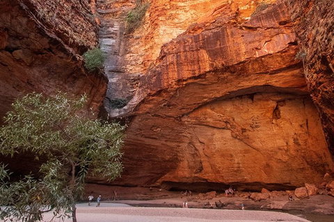Bungles Day Trek Extended (with Echidna Chasm) - Sydney Tourism 0
