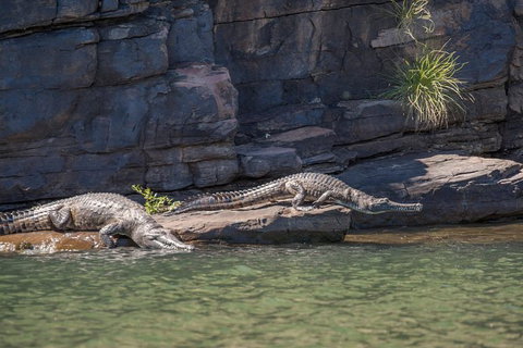 Ord River Discoverer With Sunset - Sydney Tourism 6