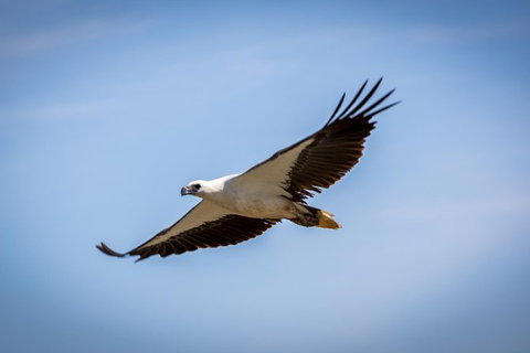 Ord River Discoverer With Sunset - Sydney Tourism 4