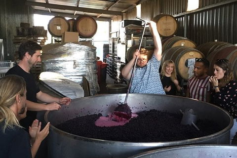 Margaret River Beer & Wine Adventure (departs Margaret River) - Sydney Tourism 10