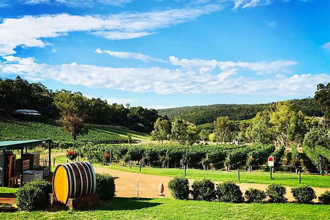 Bickley Valley Wine & Cider Tour - Premium Small Group Tour - Sydney Tourism 0
